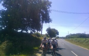 Entraînement Des Jeunes 